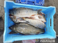 Реализация рыбы