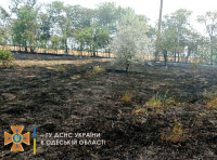 Возгорание травы