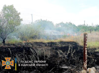 Возгорание травы