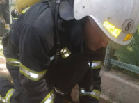 Спасение котов