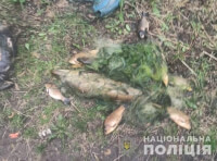 Незаконный улов