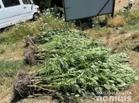 Наркоплантація