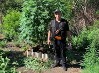 Наркоплантація