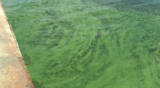 Узбережжя Чорного моря