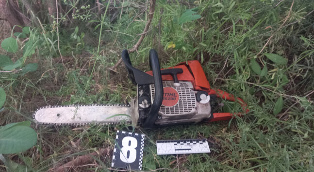 Незаконна вирубка дерев на Одещині_2