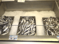 рыбный магази