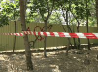 пологовий будинок №6 (2)