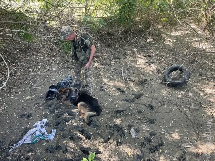 Прикордонний собака допоміг охоронцям кордону затримати порушника