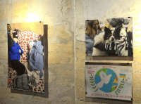 фотовыставка (3)