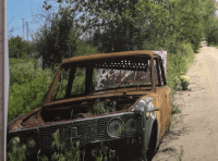 фотовыставка (8)