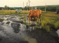 фотовыставка (12)