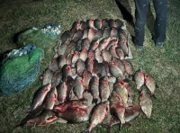 На Одещині порушник виловив 24 карпа, 29 карасів та 12 лящів_1