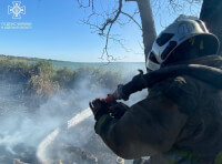 На Одещині рятувальники ліквідували масштабну пожежу
