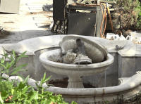 Дом ученых 15 августа (4)