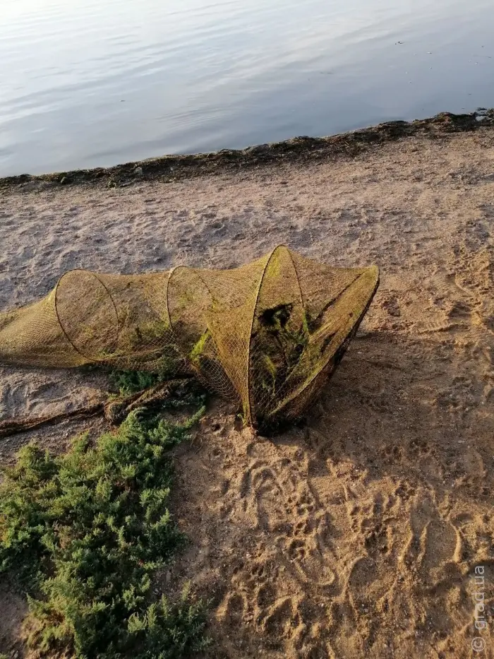 Знаряддя лову