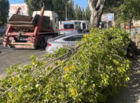 Audi зіткнувся із вантажівкою