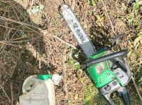 Поліцейські викрили трьох жителів Ізмаїльського району у незаконній порубці насаджень_1