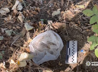 Наркотичні речовини