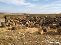 Поліцейські Арцизу припинили незаконну порубку дерев_3