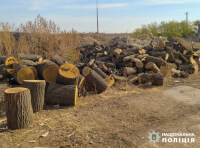 Поліцейські Арцизу припинили незаконну порубку дерев