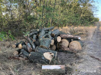 Поліцейські Арцизу припинили незаконну порубку дерев_2