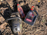 Поліцейські Арцизу припинили незаконну порубку дерев_1