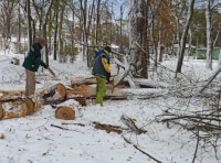 работа коммунальщиков