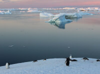 Українські полярники в Антарктиці споглядають білі ночі