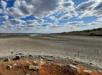 Комісія обстежила стан верхів’я та гідротехнічних споруд Хаджибейського лиману_5