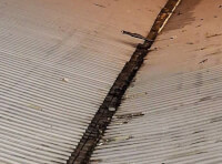 РФ вдарила дронами по Одесі і області_1