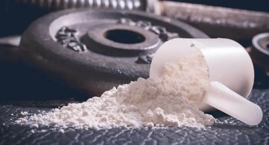 Как выбрать протеин