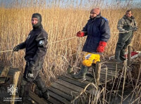спасательная операция в Одесской области