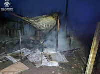 в пожар погибли животные