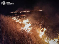 горит трава