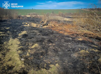 поле после пожара