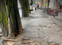 «Міськзелентрест» проведе роботи з санітарного обрізання дерев по вулиці Канатній_1