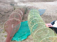 Одеський рибоохоронний патруль затримав браконьєра