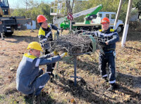 ДТЭК Одесские электросети