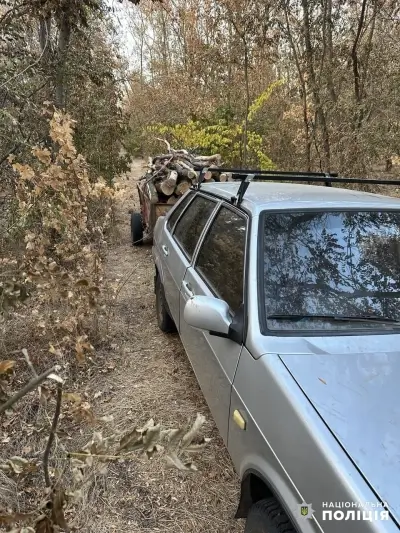 Поліцейські повідомили двом жителям Одеського району про підозру у незаконній порубці дерев