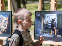 выставка ко Дню пограничника (10)