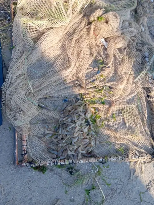 Чоловік рибалив на території природо-заповідного фонду - Регіонального ландшафтного парку «Тилігульський»