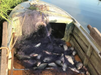 Невідомий  ловив рибу за допомогою браконьєрських знарядь