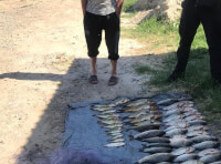 Невідомий  ловив рибу за допомогою браконьєрських знарядь