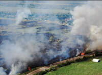 горят камыши