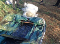 На Одещині рибалки незаконно наловили риби