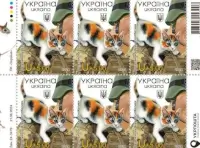 «Батальон «Пушистые» Котики»