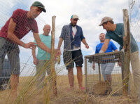 Команда Rewilding Ukraine випустила в степ другу групу степових бабаків_1