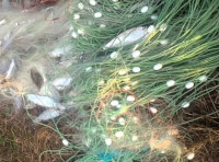 Чоловіки ловили рибу на території Національного природного парку_1