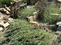 Поліцейські повідомили про підозру 37-річому жителю Болградського району у незаконних оборудках з наркотиками