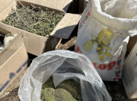 Поліцейські повідомили про підозру 37-річому жителю Болградського району у незаконних оборудках з наркотиками_1